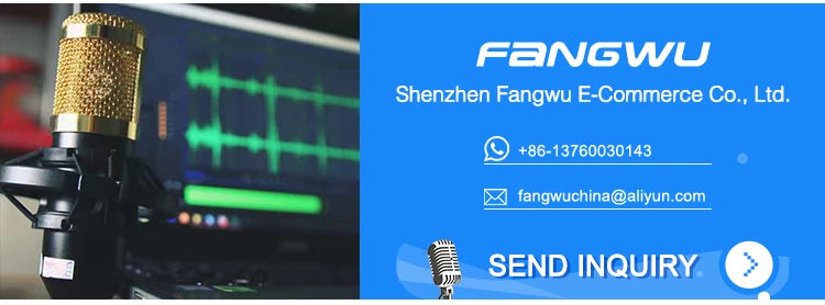 Top Quality Bm Mic Karaoke Jts Microphone